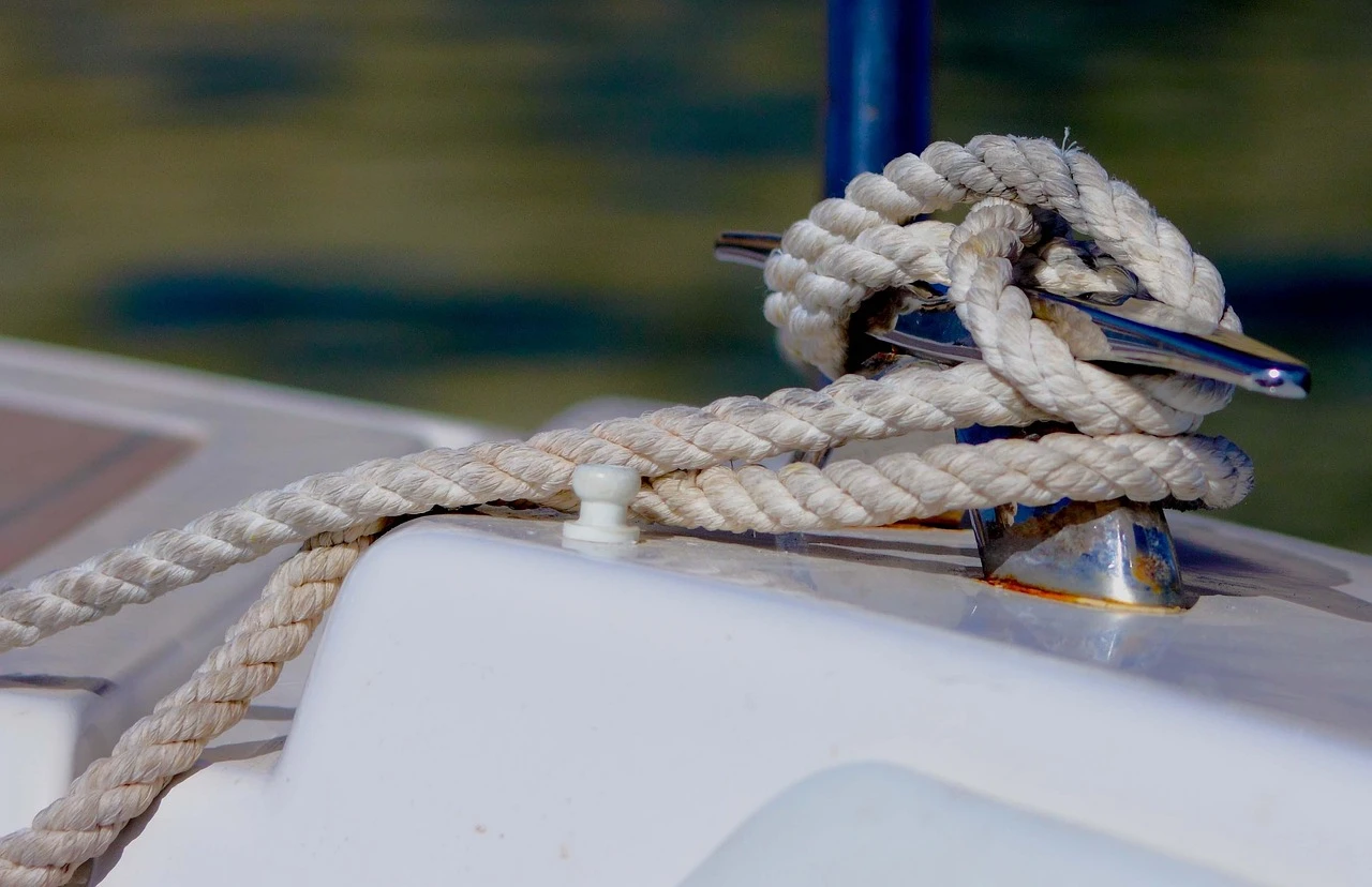 DSC_2186a