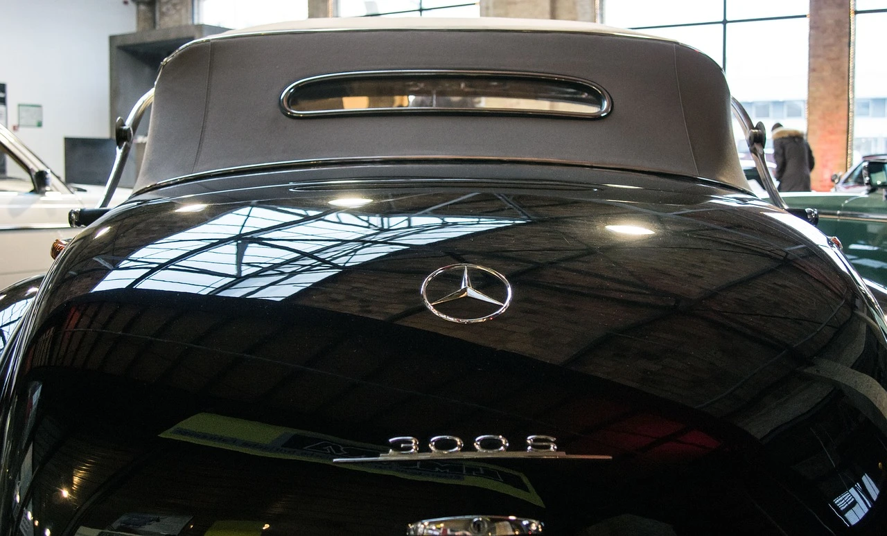 DSC_2637a