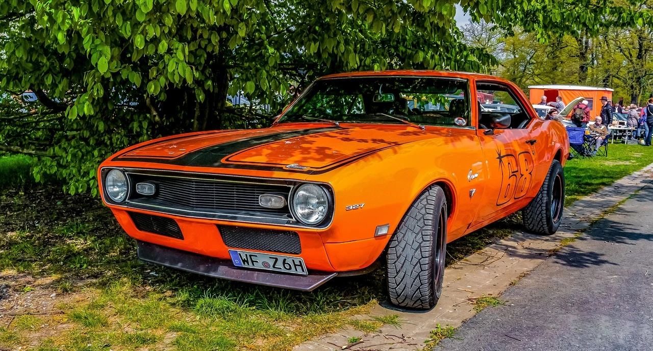 DSC_2032a