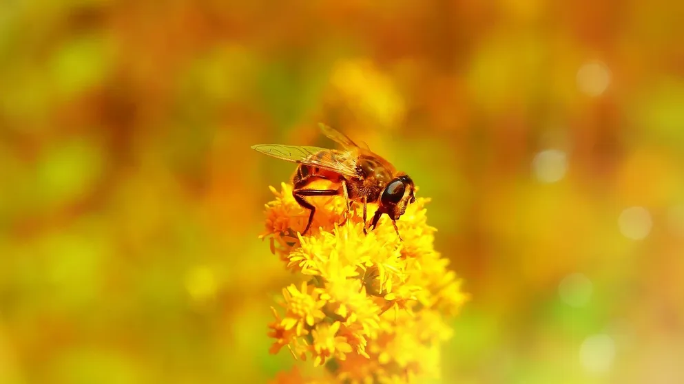 _DSC4747ab