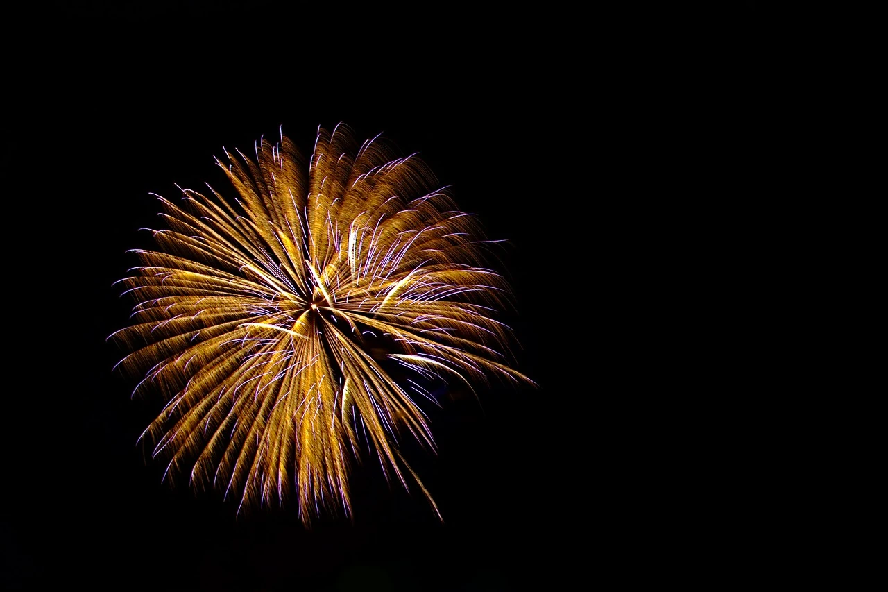 DSC_0837a