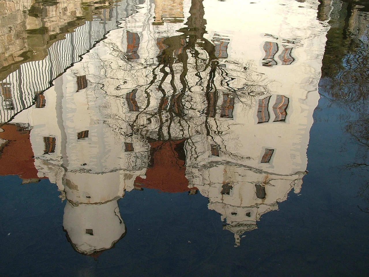 Stadnina Janów Podlaski