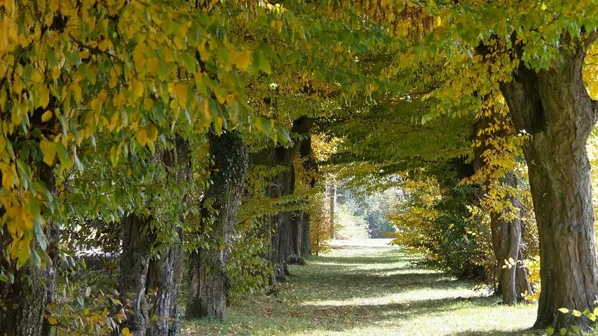 Stadnina w Janowie Podlaskim