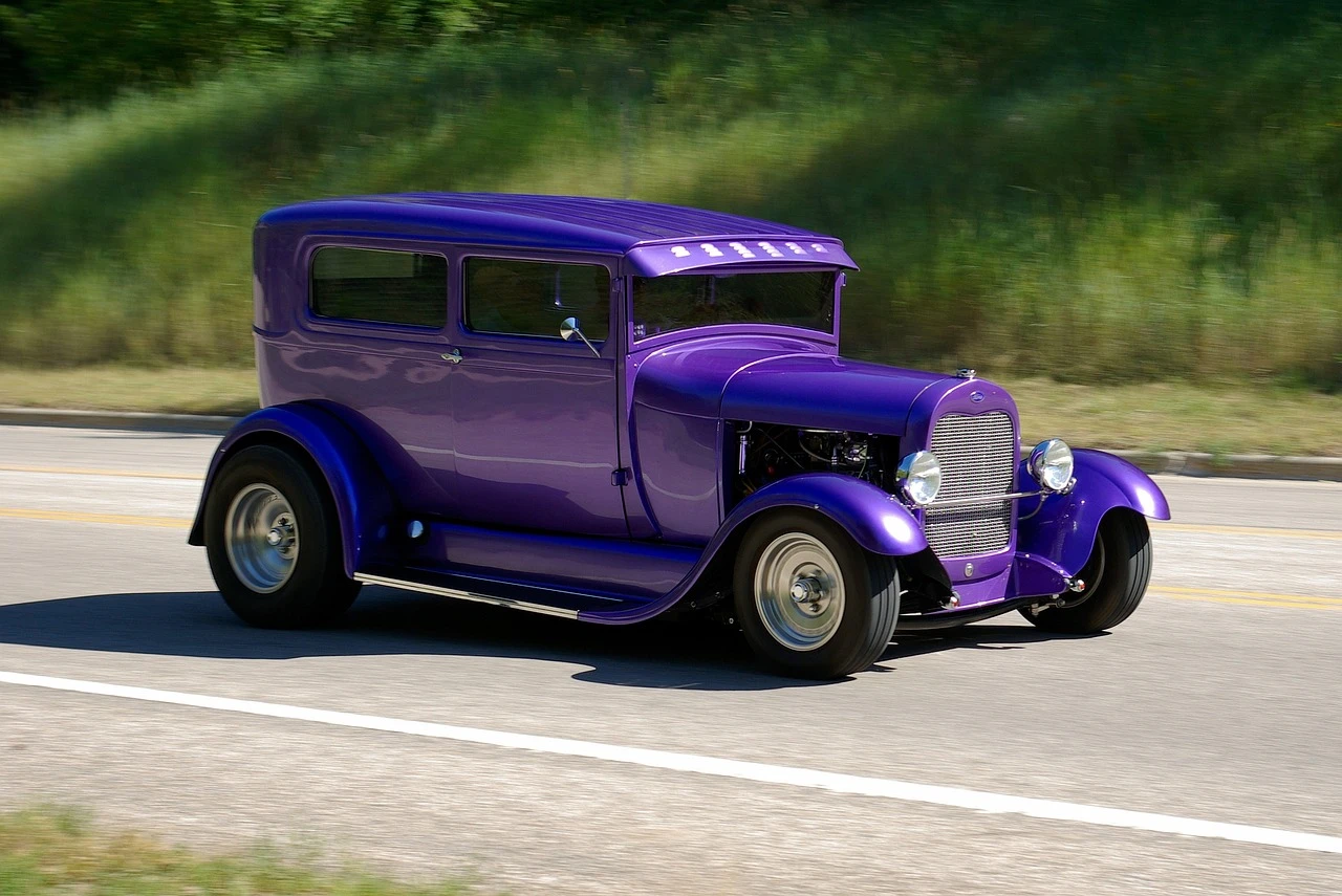 DSC_2113a