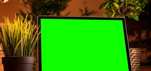 Roksana Węgiel: Instagramy niektórych osób wyglądają jak tablice reklamowe | JOY Influencer 2019