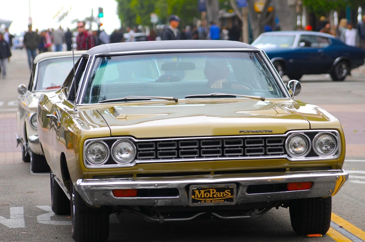DSC_2530a